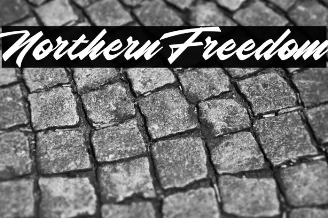 Northern Freedom Example 3