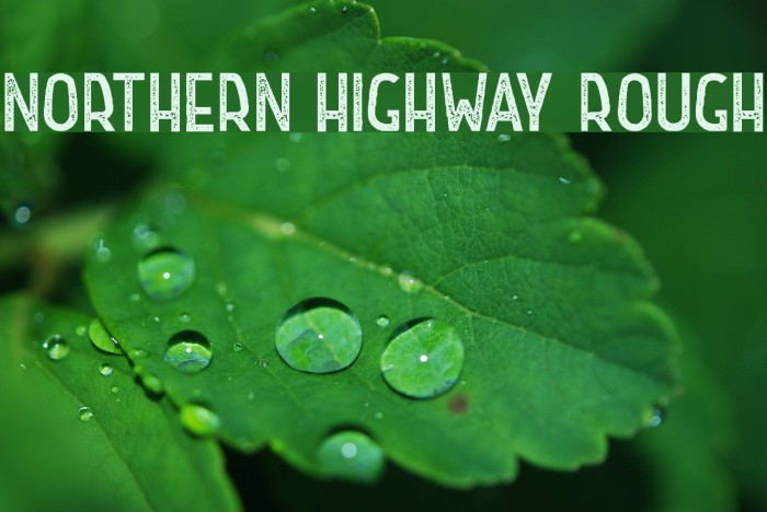 Northern Highway Rough Font examples