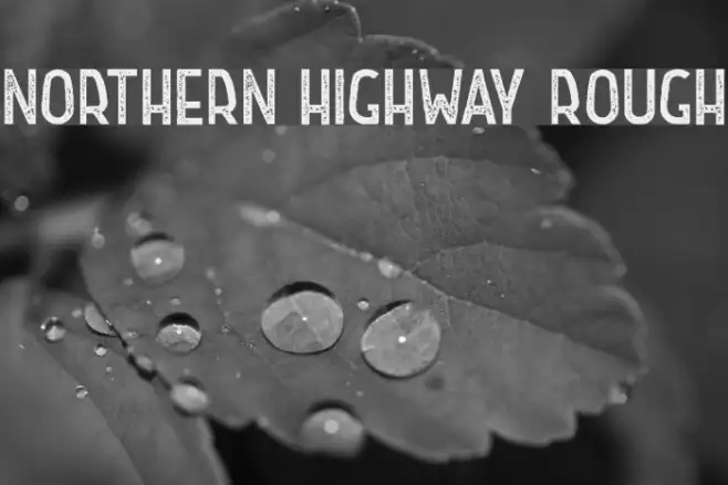 Northern Highway Rough Example 1