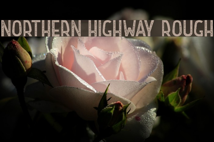 Northern Highway Rough Font examples