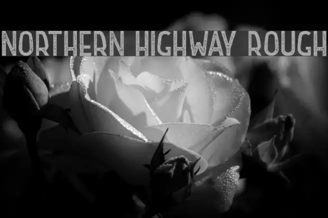 Northern Highway Rough Example 2