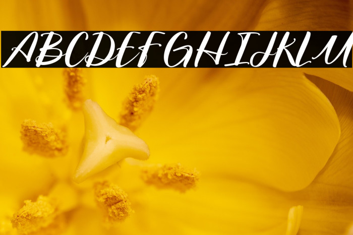 Northern Landmark Regular Example 2