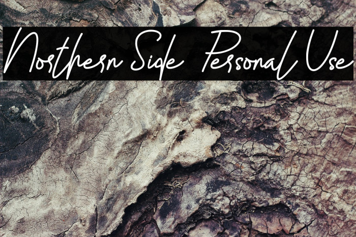 Northern Side - Personal Use Example 2