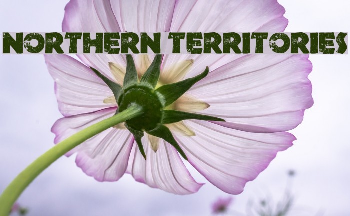 Northern Territories Font examples