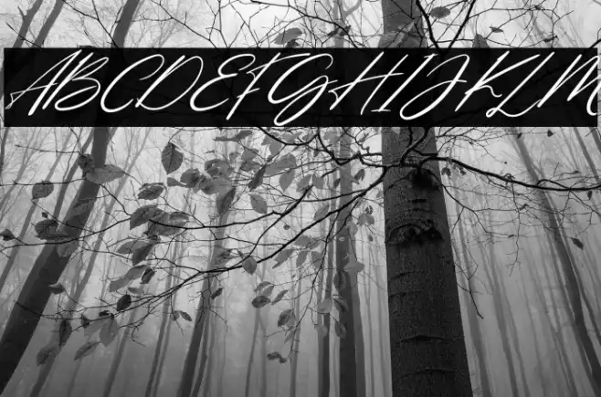 NorthernForestFREE Example 1