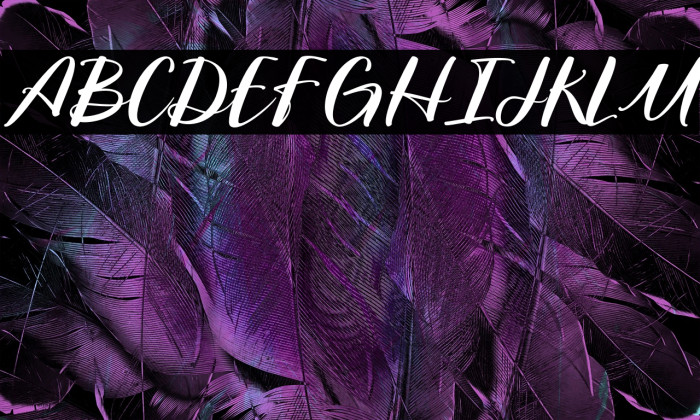 NorthernLandmark-Regular Example 1