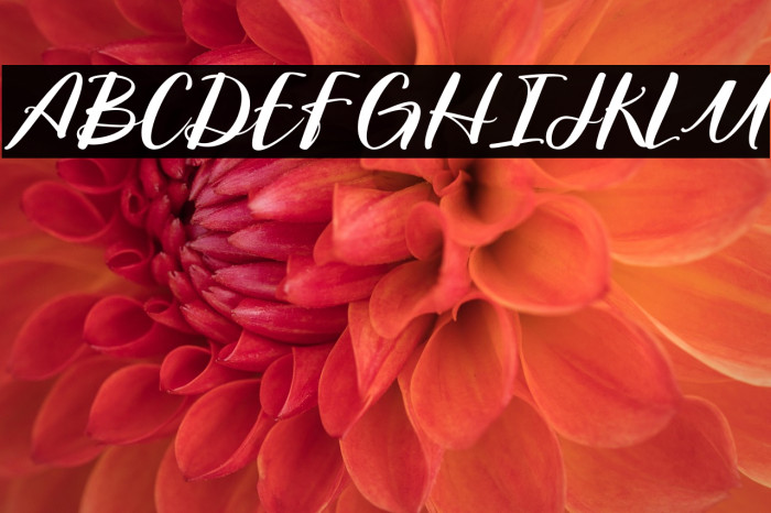 NorthernLandmark-Regular Example 2