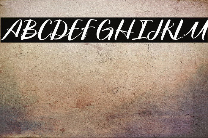 NorthernLandmark-Regular Example 3