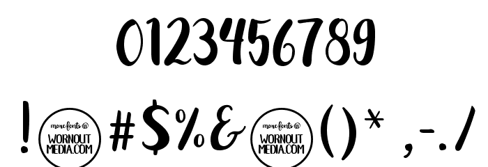 NorthernLights-Script Font OTHER CHARS