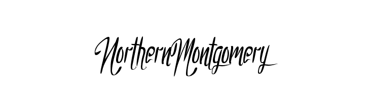 NorthernMontgomery  免费字体下载