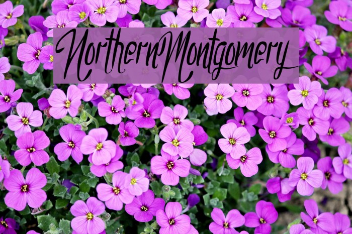 NorthernMontgomery Example 1