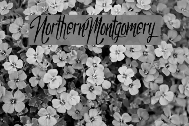 NorthernMontgomery Font examples