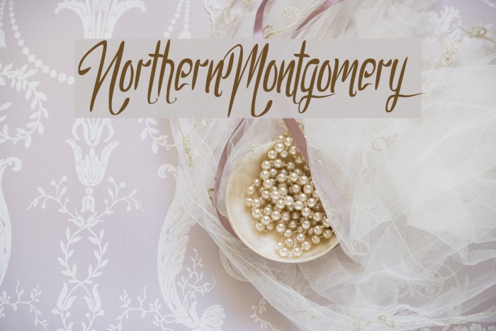 NorthernMontgomery Example 2