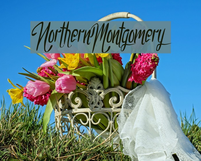 NorthernMontgomery Example 3