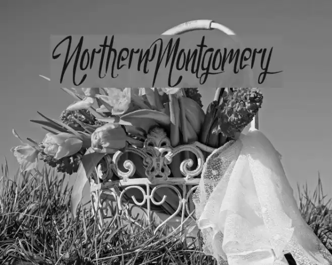 NorthernMontgomery Font examples