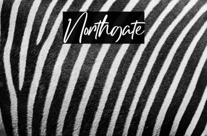 Northgate Font examples