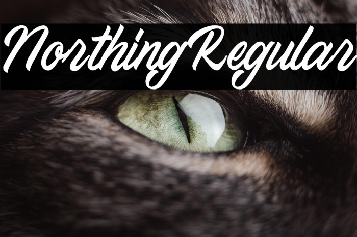 NorthingRegular Example 1