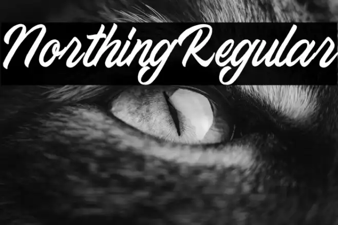 NorthingRegular Example 1