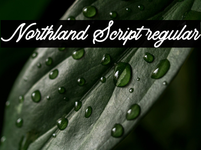 Northland Script regular Example 1