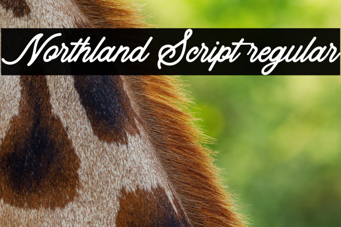 Northland Script regular Example 3