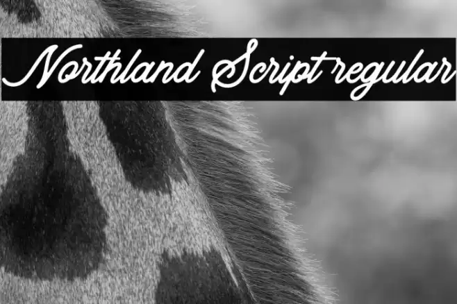 Northland Script regular Font examples