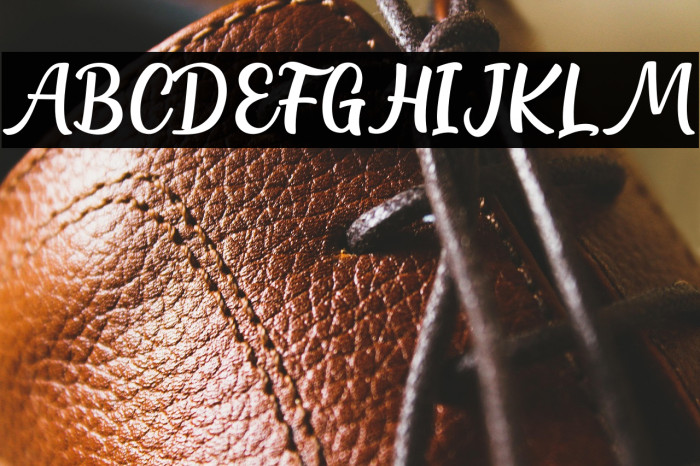 Northline Script Example 1