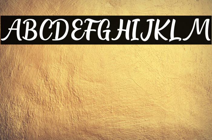 Northline Script Example 2