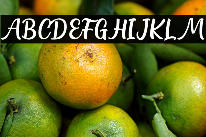 Northline Script Example 3