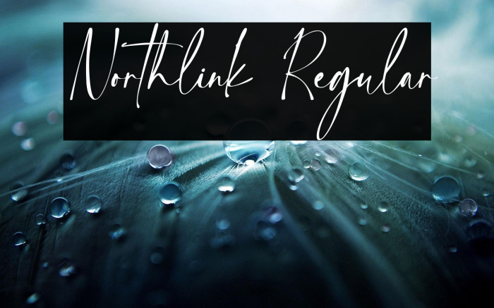 Northlink Regular Example 1