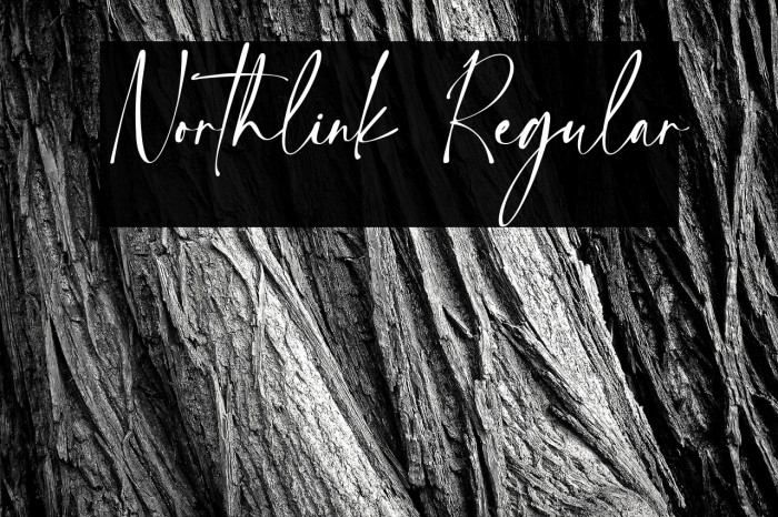 Northlink Regular Example 3