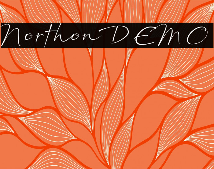 Northon DEMO Example 1