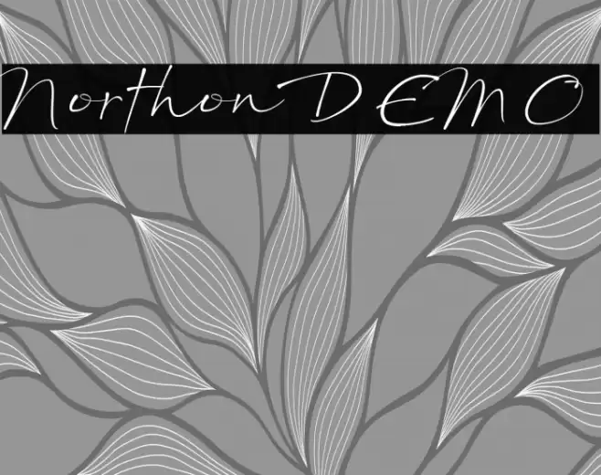 Northon DEMO Font examples