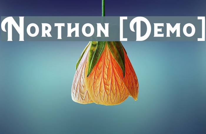 Northon [Demo] Example 1