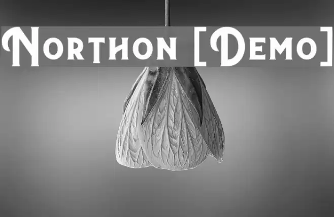 Northon [Demo] Font examples
