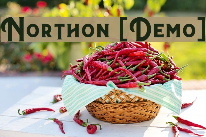 Northon [Demo] Example 2