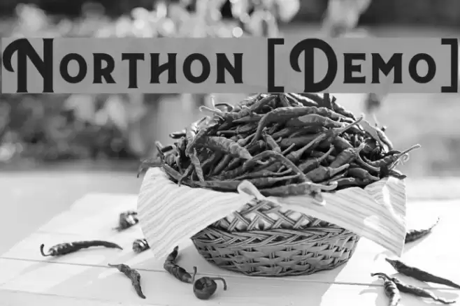 Northon [Demo] Font examples