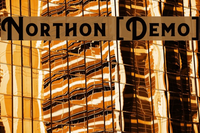 Northon [Demo] Example 3