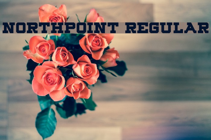Northpoint Regular Font examples