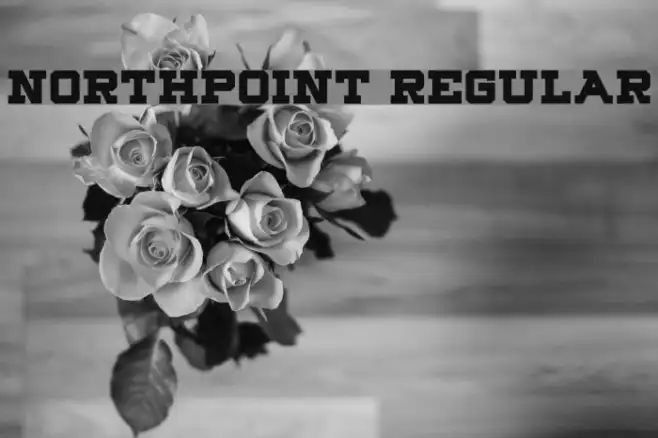 Northpoint Regular Example 1