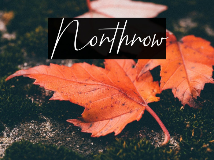 Northrow Fuentes examples
