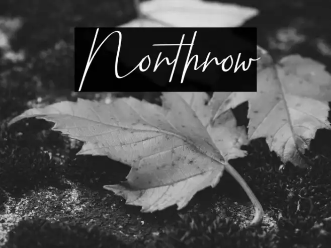 Northrow Example 3