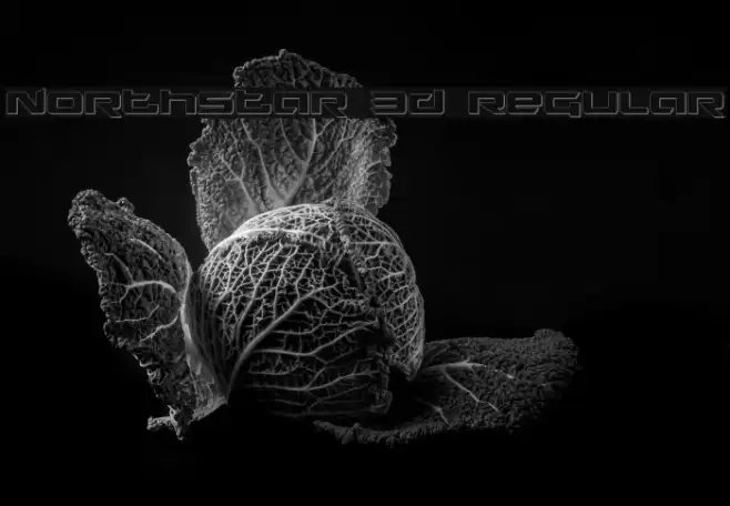 Northstar 3D Regular Example 1