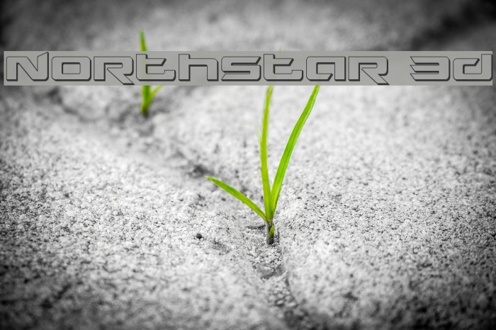 Northstar 3D Font examples