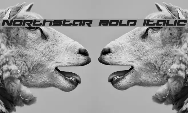 Northstar Bold Italic Font examples