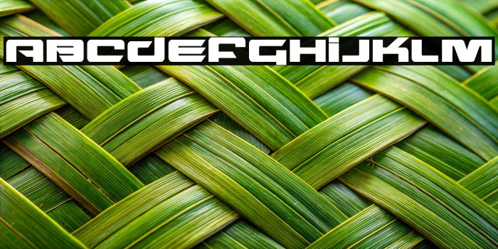 Northstar Bold Example 3