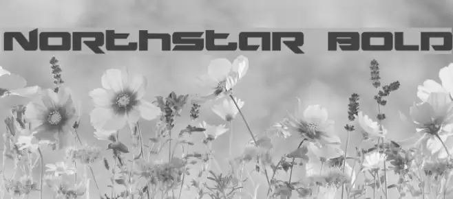 Northstar Bold Font examples