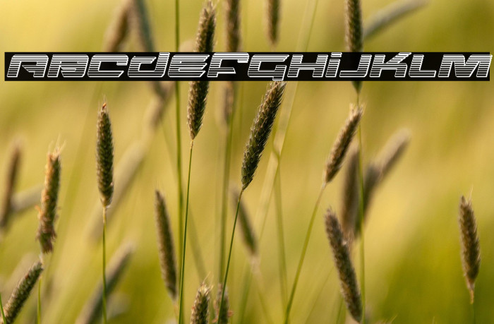 Northstar Chrome Italic Example 3