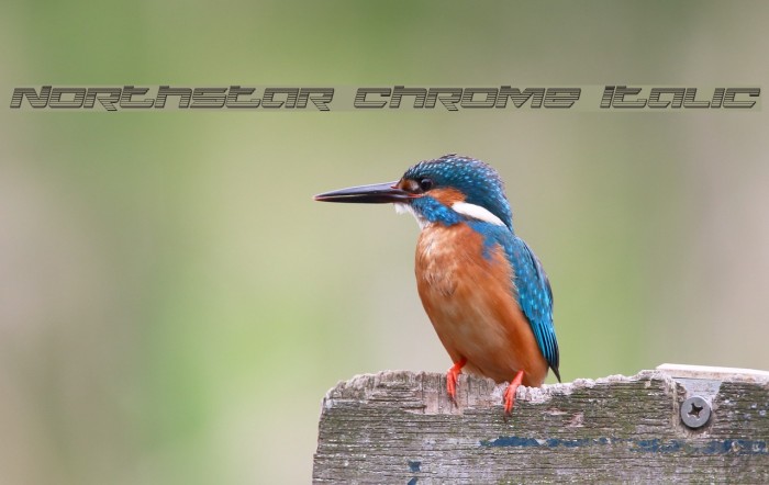 Northstar Chrome Italic Example 2