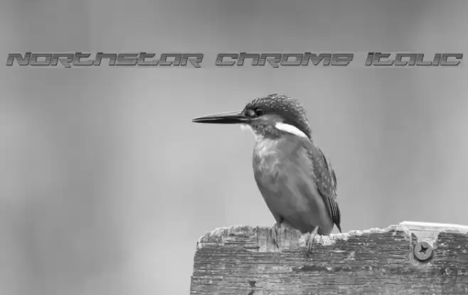 Northstar Chrome Italic Font examples