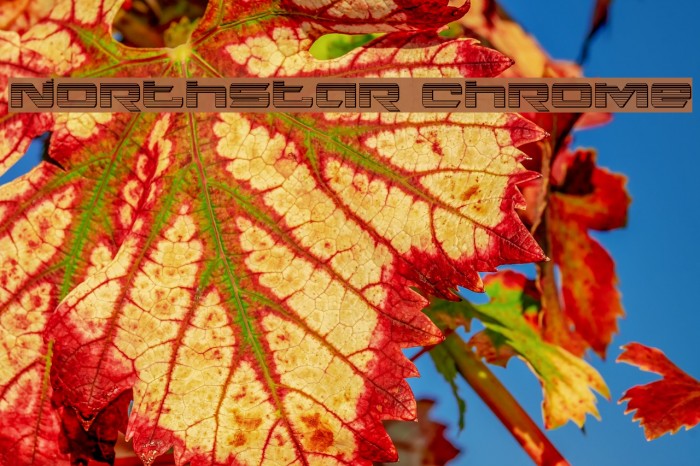 Northstar Chrome Example 1